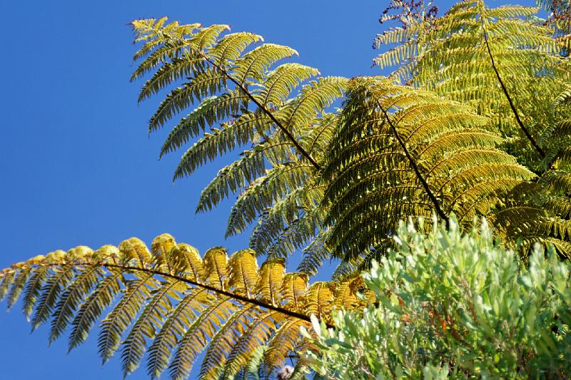 2007 04 06 Abel Tasman 077_DXO.jpg